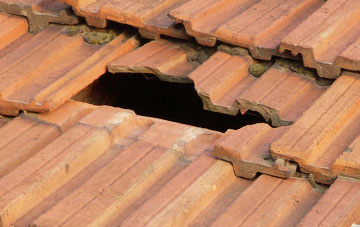 roof repair Menstrie, Clackmannanshire